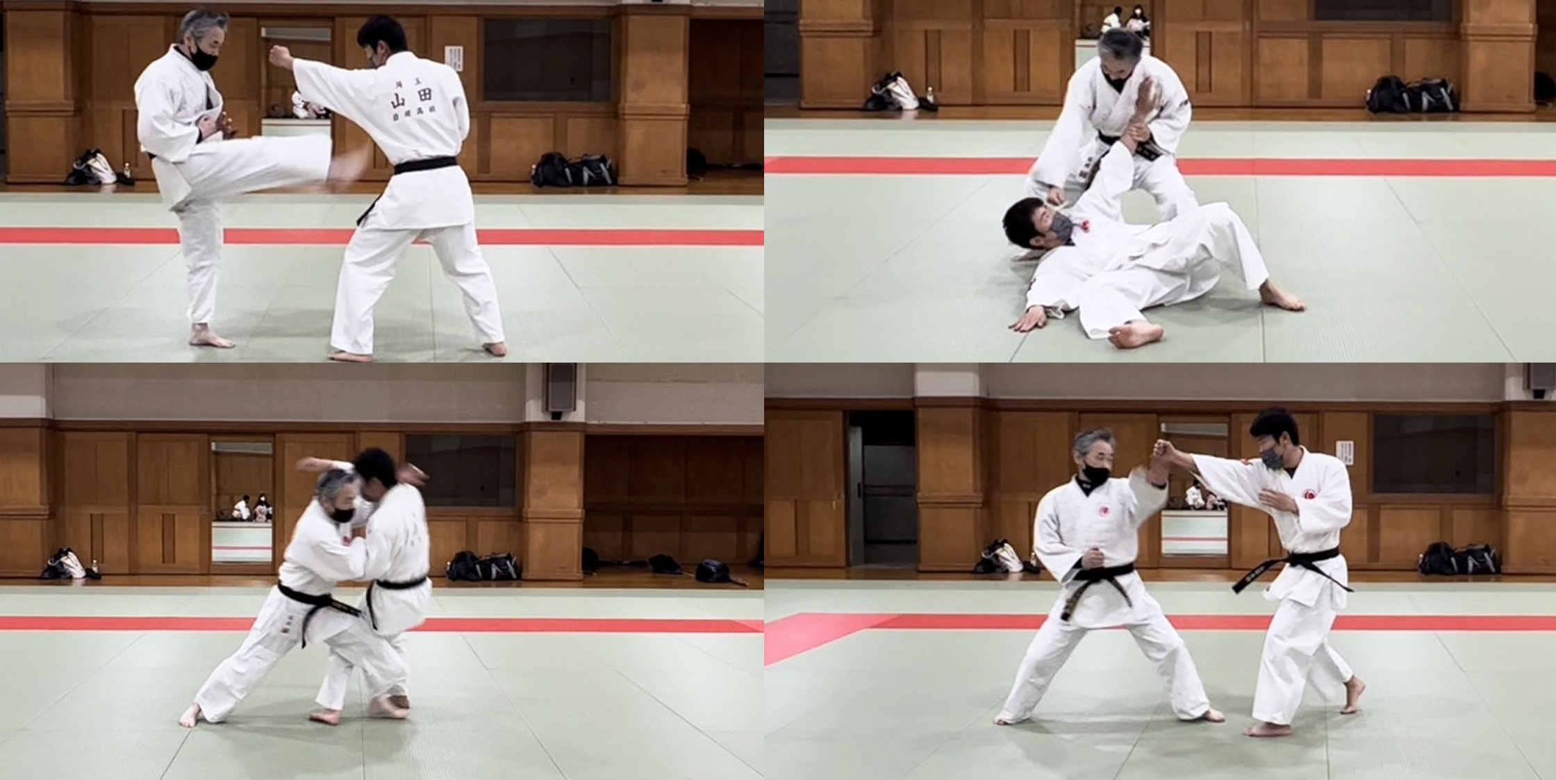 日本拳法 拳精館