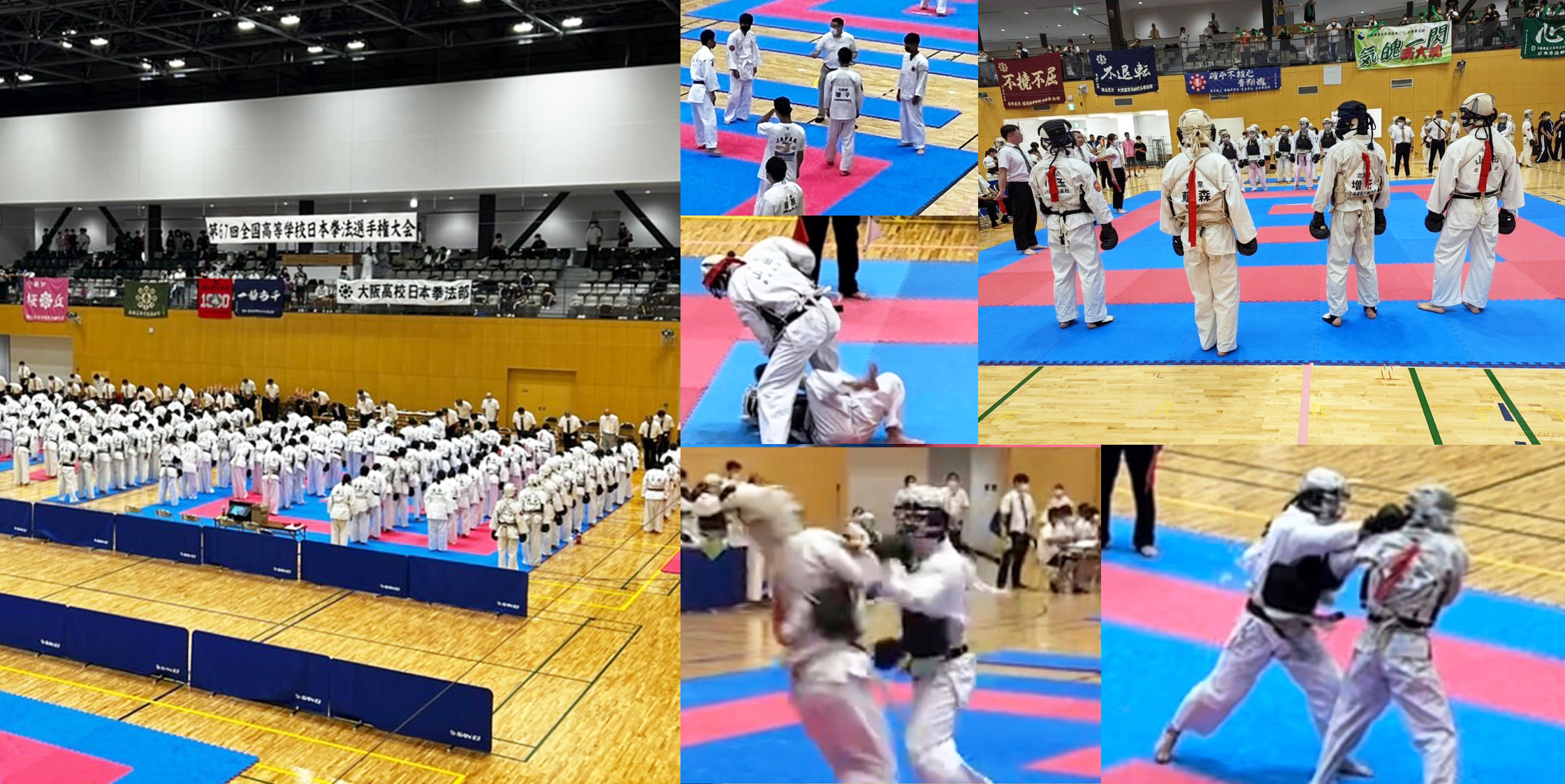 日本拳法 拳精館